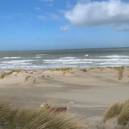 Apartment Moderne Aan Het In Oostduinkerke-bad